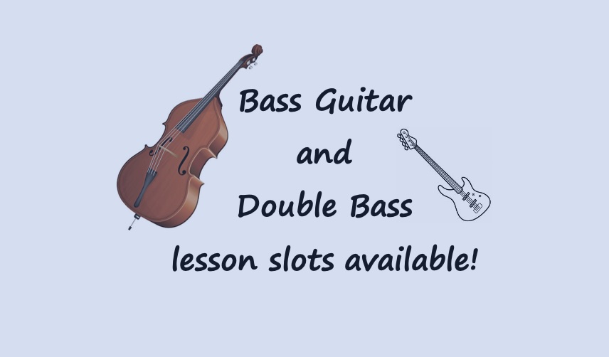Bass Guitar and Double Bass Lessons